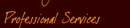Professional Services